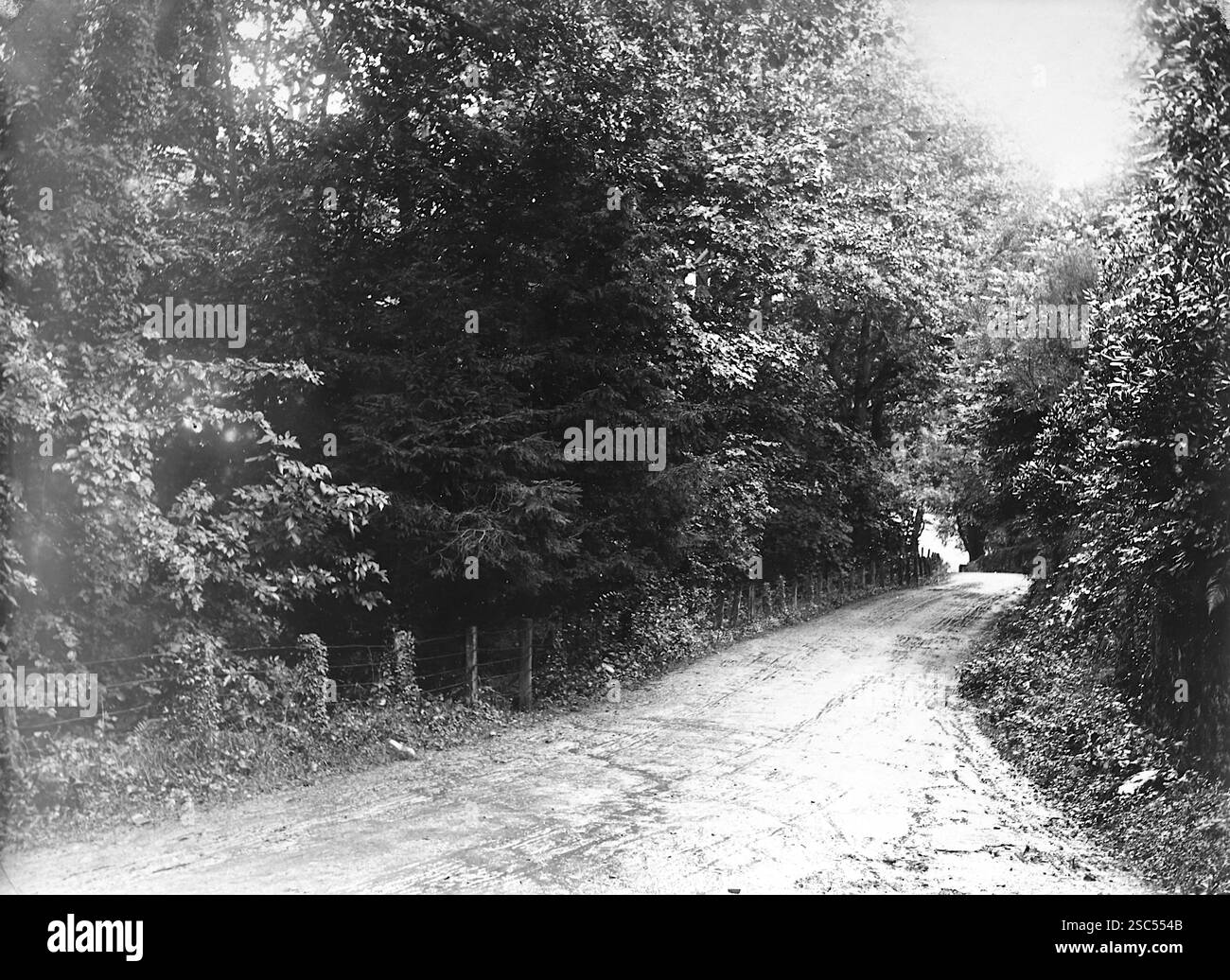 Eine schmale Straße, die vom Bahnhof Llanilar, Llanilar, Ceredigion, Wales, führt. 1900, monochrom: Aus einer bedeutenden historischen Sammlung von originalen, nicht zugeschriebenen Albumenfotos aus der späten viktorianischen bis frühen Edwardianischen Zeit: Eine britische Tour einschließlich Staffordshire, Warwickshire und Nordwales. Die Qualität der Originale war variabel und die meisten waren etwa 108 x 165 mm. Stockfoto