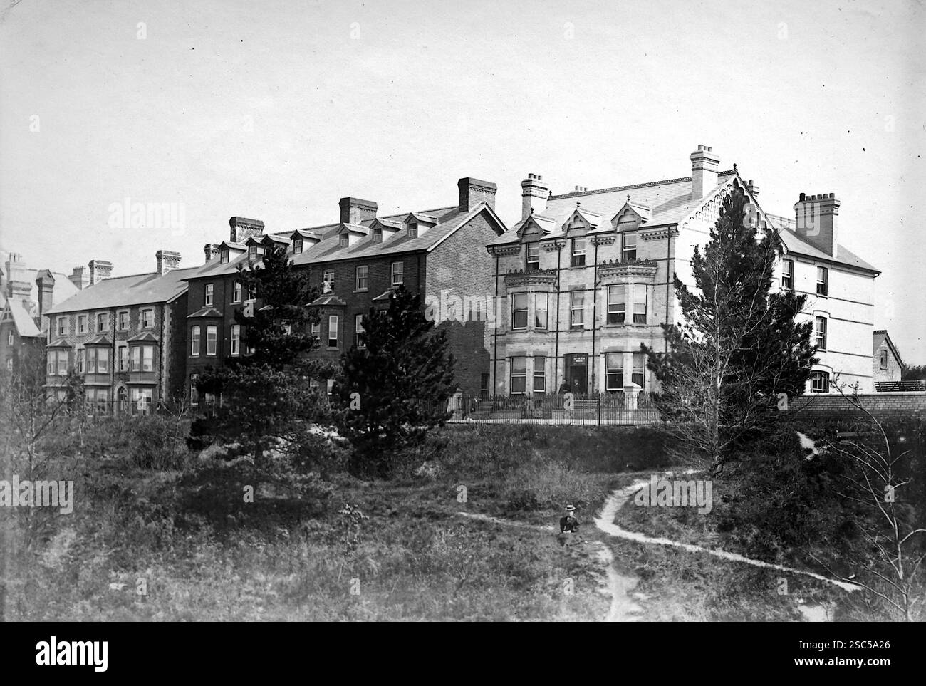Große Gebäude entlang der Park Terrace, in der Nähe des Rock Park in Llandrindod Wells, einem Kurort in Mid Wales, bekannt für seine viktorianische Architektur und das gesundheitsfördernde Wasser. 1900, monochrom: Aus einer bedeutenden historischen Sammlung von originalen, nicht zugeschriebenen Albumenfotos aus der späten viktorianischen bis frühen Edwardianischen Zeit: Eine britische Tour einschließlich Staffordshire, Warwickshire und Nordwales. Die Qualität der Originale war variabel und die meisten waren etwa 108 x 165 mm. Stockfoto