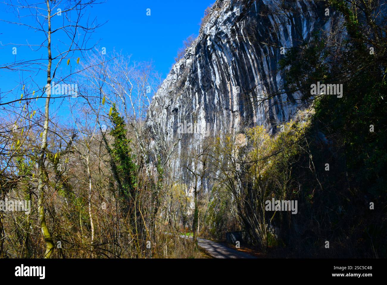 Kalksteinklippe bei Podtabor in Notranjska, Slowenien Stockfoto