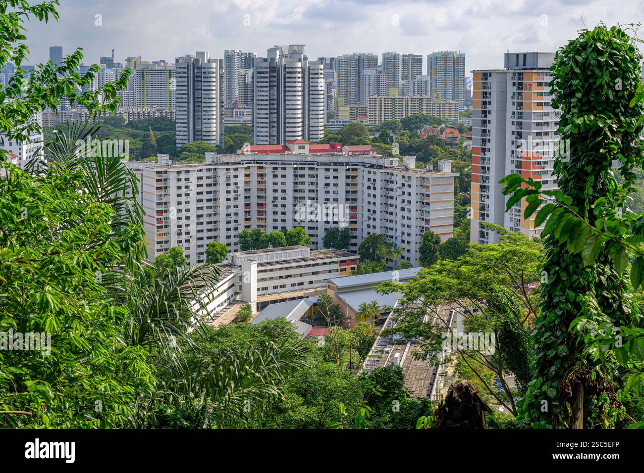 Hochhausstil im Singapur-Stil. Die Wohnblöcke ragen aus dem dichten Laub von den Hängen des Mount Faber hervor, soweit das Auge reicht. Stockfoto