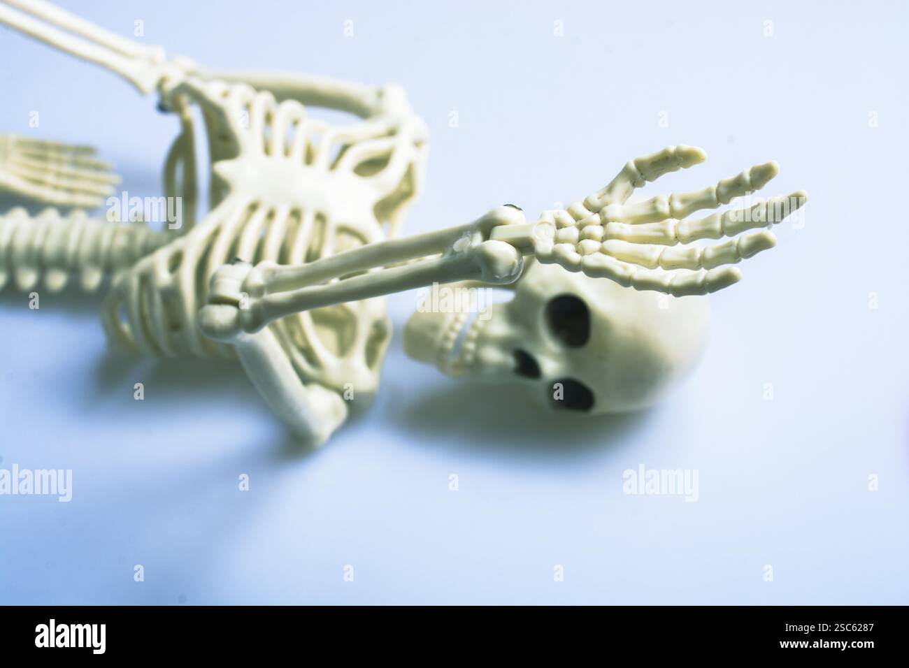 Modell eines künstlichen menschlichen Skeletts auf grauem Hintergrund Stockfoto