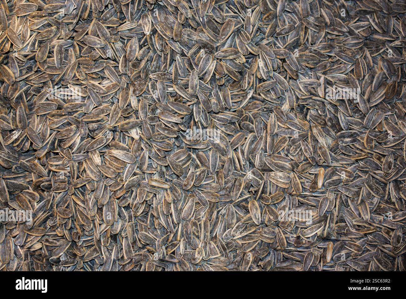 Sonnenblumenkerne aspopular Nützliche kulinarische Produkt Stockfoto