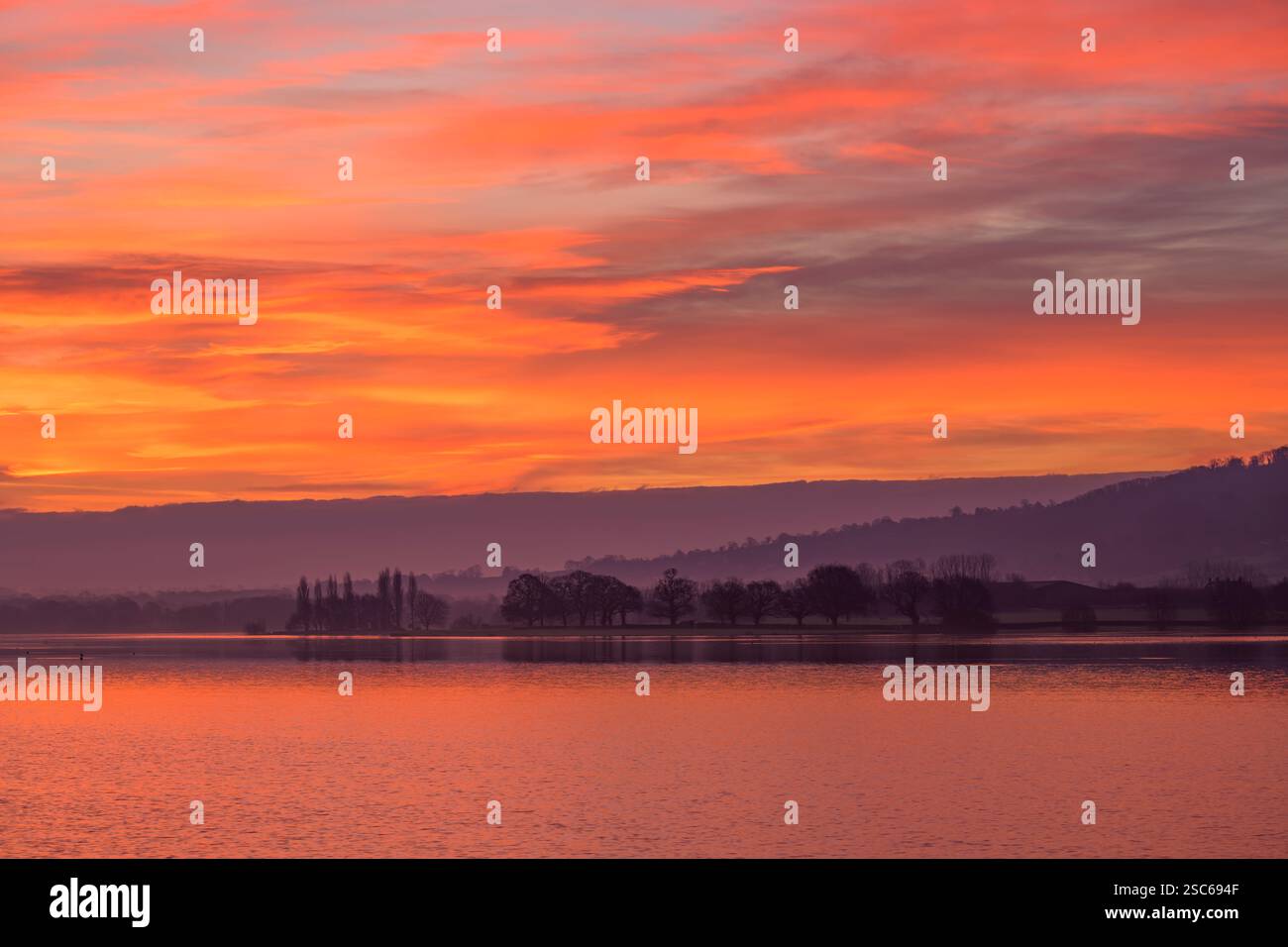 Sonnenaufgang am Blagdon Lake mit einer Reihe von Bäumen in der Ferne, Somerset, Großbritannien Stockfoto