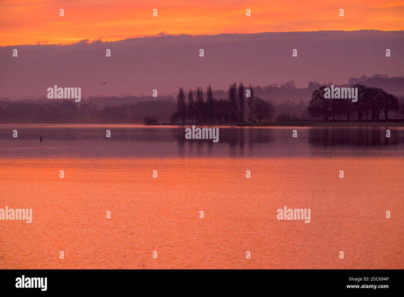 Sonnenaufgang am Blagdon Lake mit einer Reihe von Bäumen in der Ferne, Somerset, Großbritannien Stockfoto