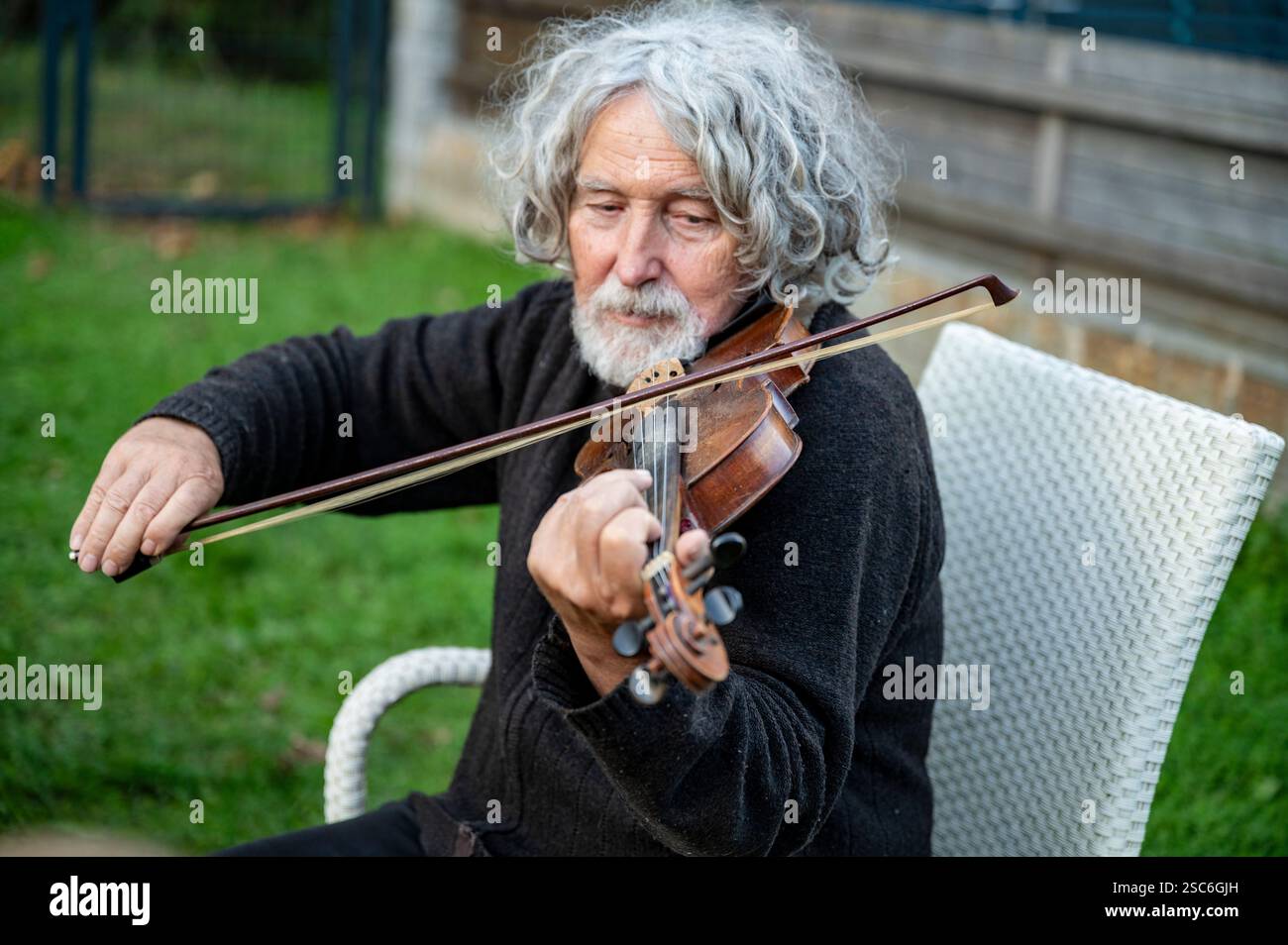 Ein älterer Mann mit lockigen grauen Haaren und Bart spielt Geige, während er auf einem weißen Stuhl im Garten sitzt und sich auf seine Musik konzentriert. Stockfoto