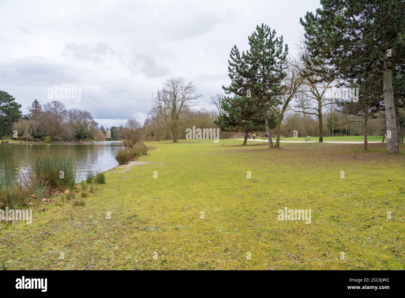 Ein ruhiger Park am See bietet lebhaftes Grün und ruhiges Wasser Stockfoto