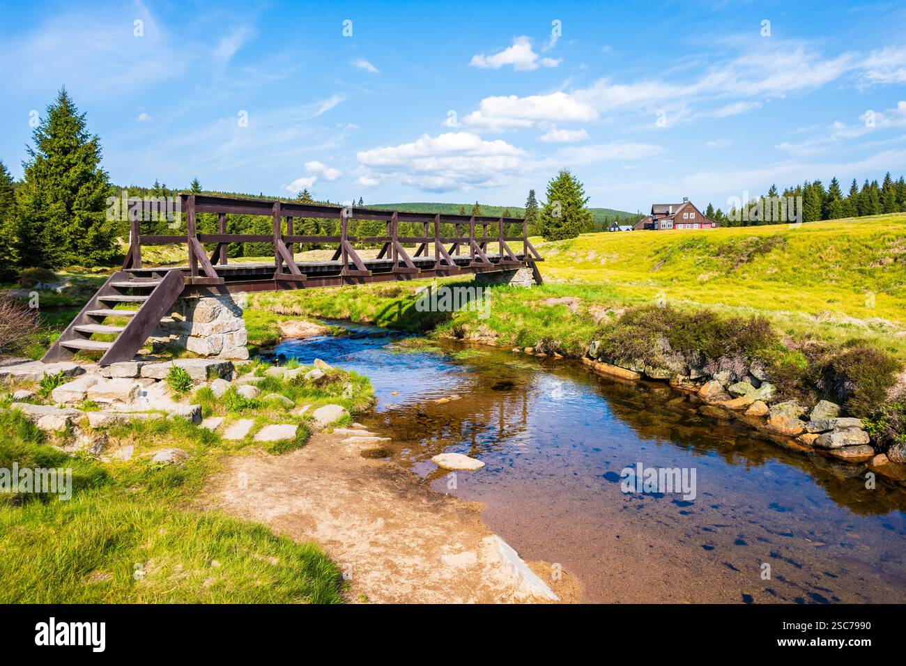Holzbrücke über den Fluss Jizerka und grüne Wiesen mit Fichtenbäumen im Dorf Jizerka am sonnigen Frühlingstag im Isergebirge, Tschechische Republik Stockfoto