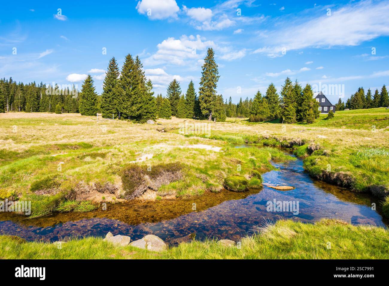Fluss Jizerka und grüne Wiesen im Dorf Jizerka am sonnigen Frühlingstag im Isergebirge, Tschechische Republik Stockfoto