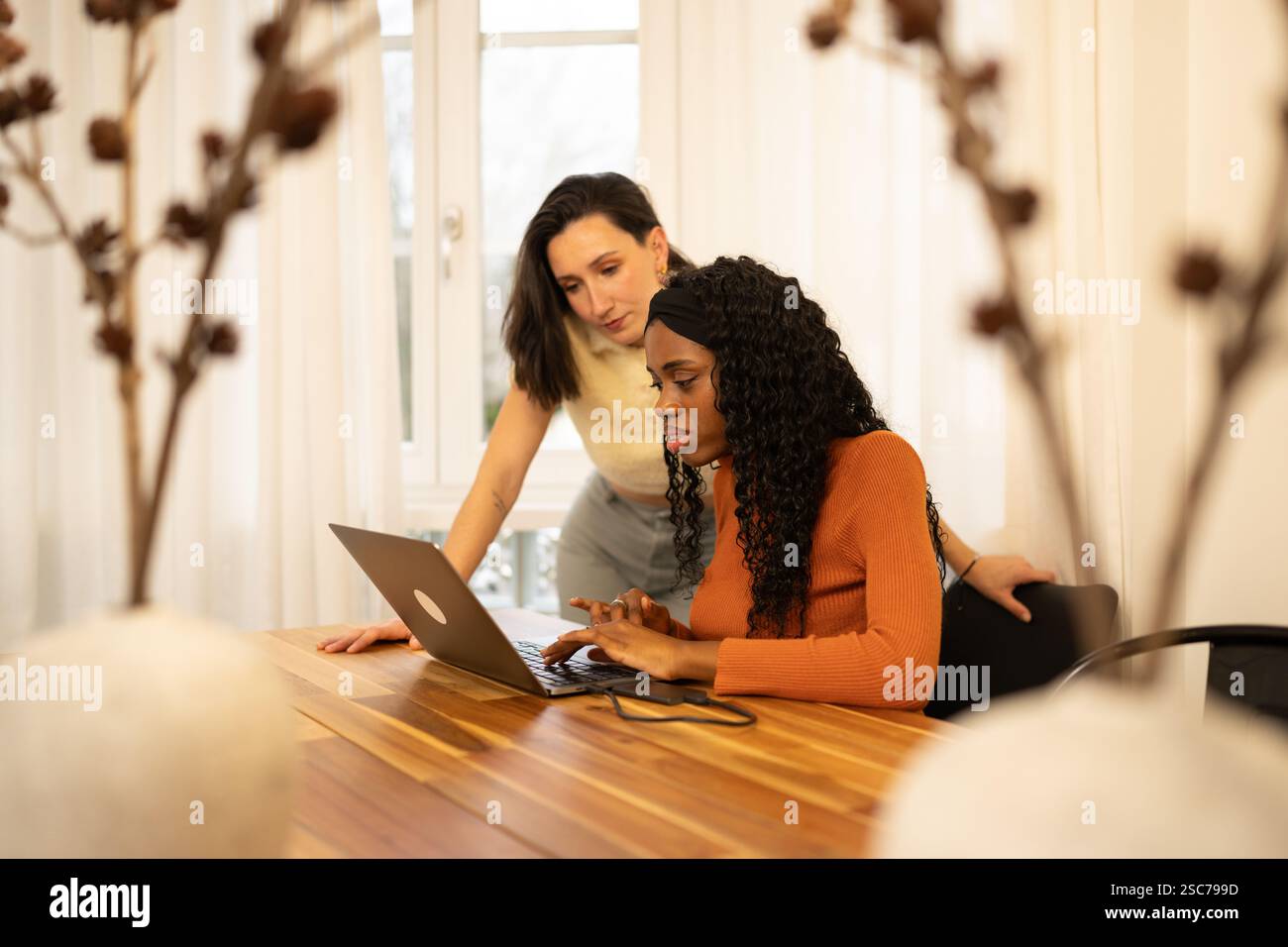 Interrassische junge Frauen arbeiten in einem modernen Büro mit einem Laptop zusammen und demonstrieren Teamarbeit und Zusammenarbeit in einer professionellen Umgebung Stockfoto