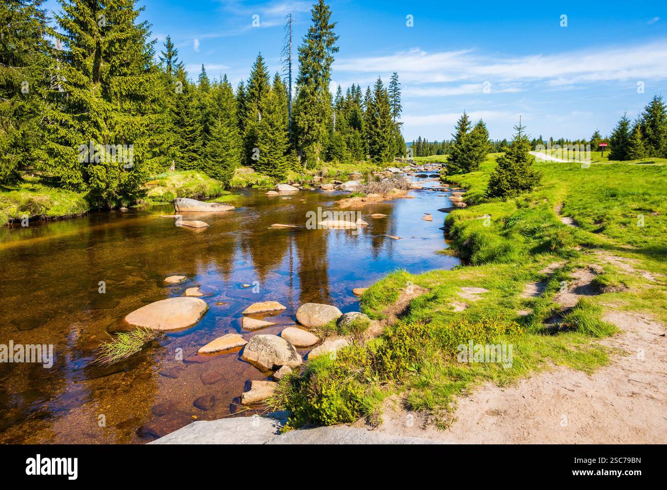 Fluss Jizerka und grüne Wiesen mit Fichtenbäumen im Dorf Jizerka am sonnigen Frühlingstag im Isergebirge, Tschechische Republik Stockfoto