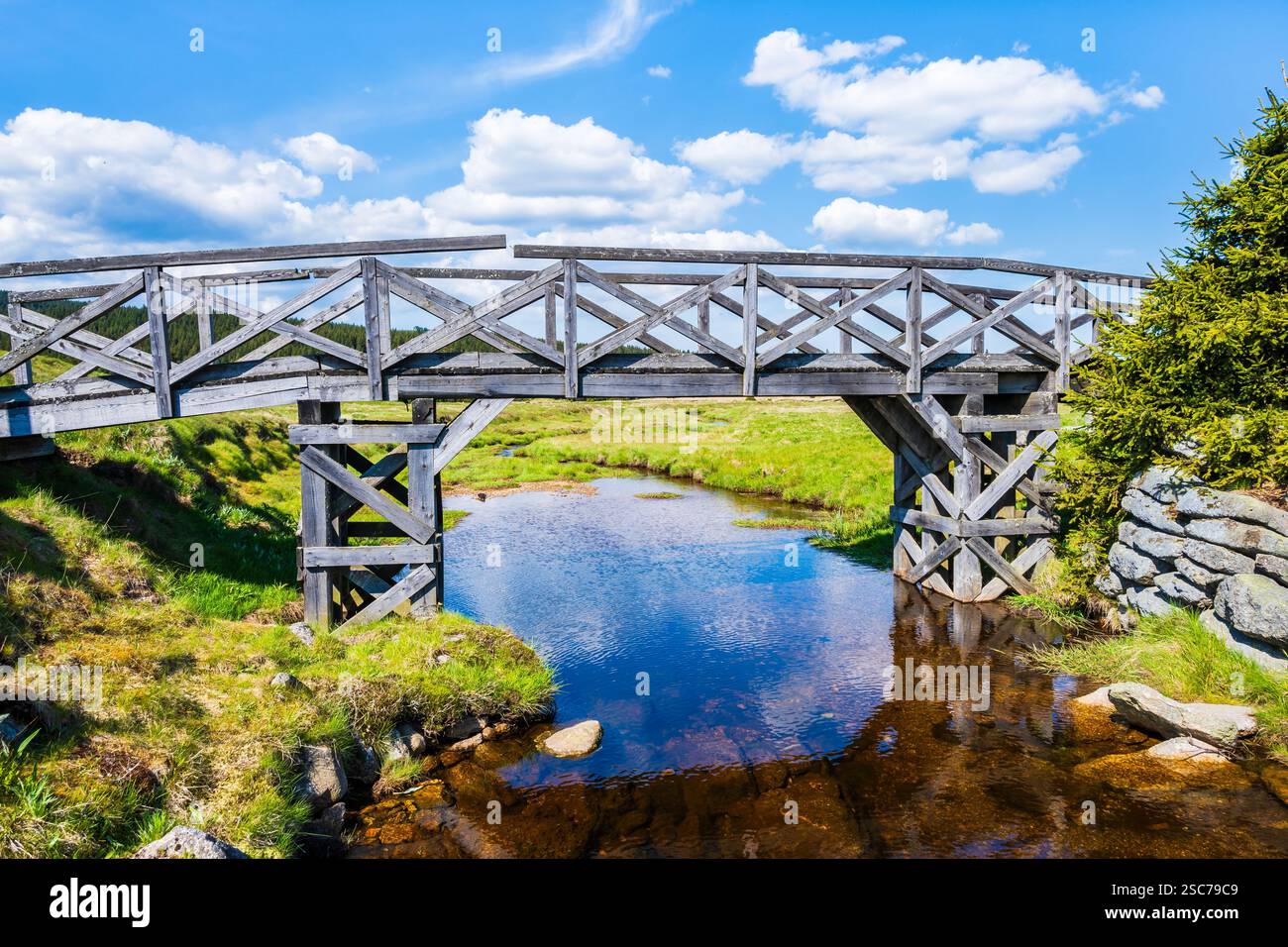 Holzbrücke über die Izera und grüne Wiesen mit Fichtenbäumen auf Hala Izerska am sonnigen Frühlingstag, Isergebirge, Niederschlesien, Polen Stockfoto