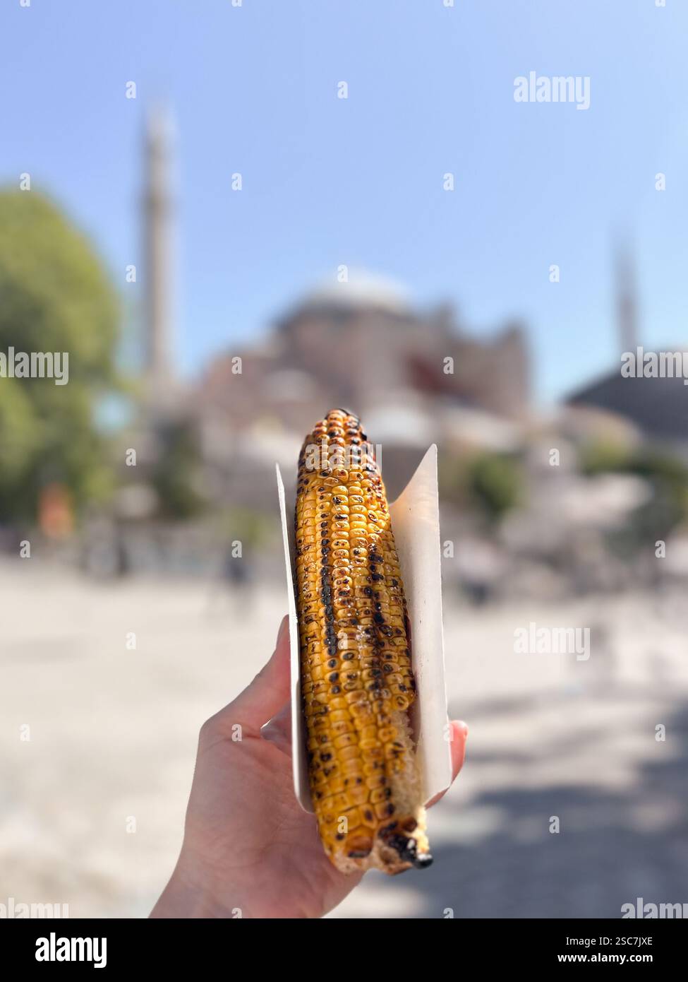 Maiskolben vor der blauen Moschee in istanbul, türkei Stockfoto