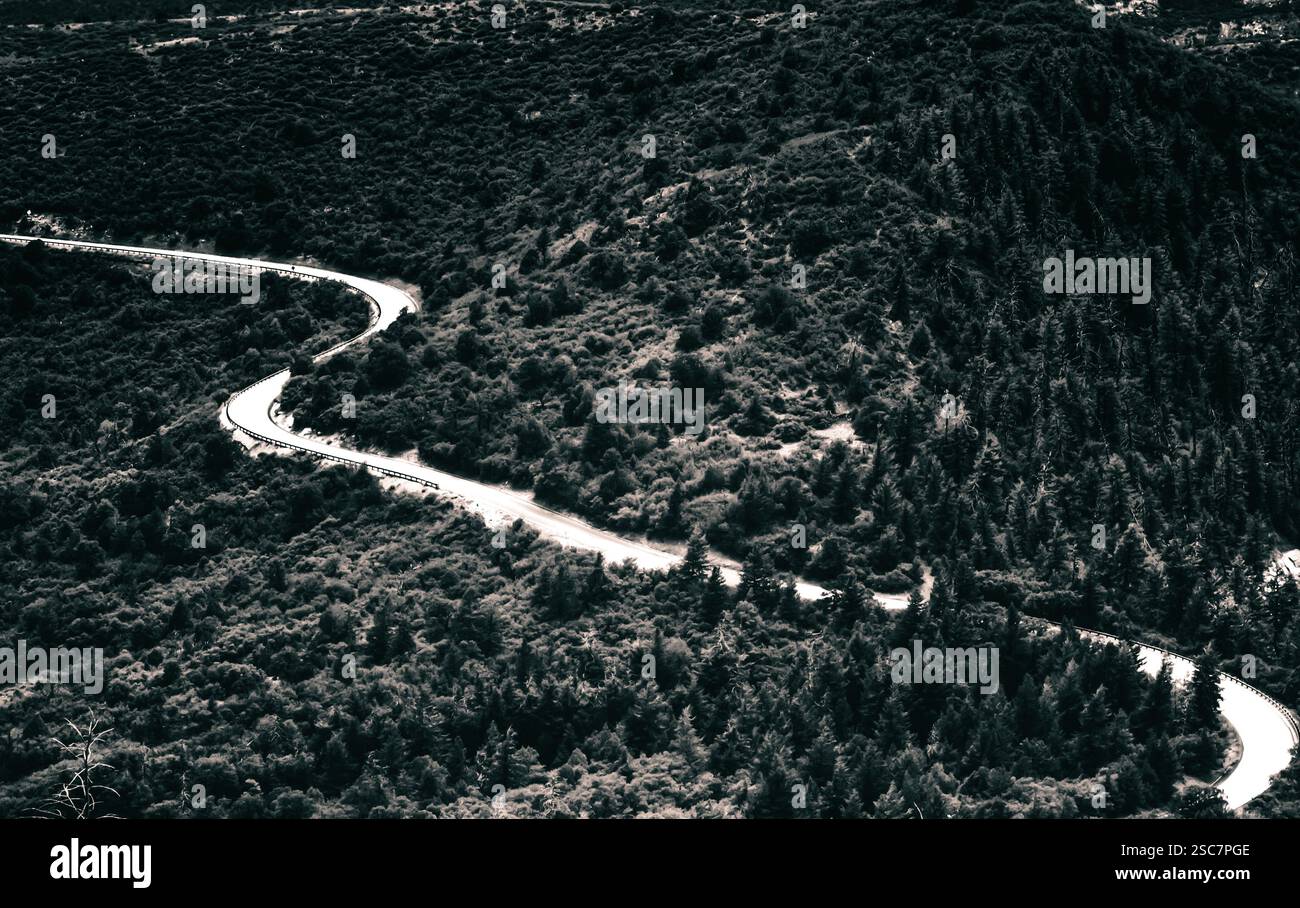 Eine kurvige Straße führt durch dichten Wald in dieser dramatischen schwarz-weißen Landschaft und schafft eine stimmungsvolle und abenteuerliche Reiseszene. Stockfoto