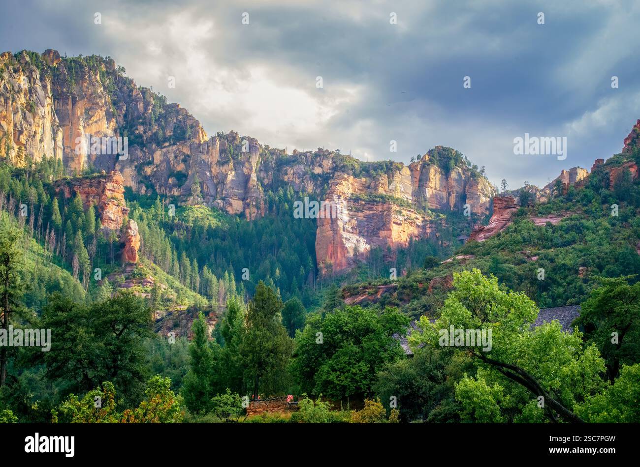 Sonnendurchflutete Canyonklippen erheben sich über üppig grünen Wäldern unter dramatischem Himmel und schaffen einen atemberaubenden Kontrast zwischen zerklüfteten Felsformationen und lebendigem Laub. Stockfoto