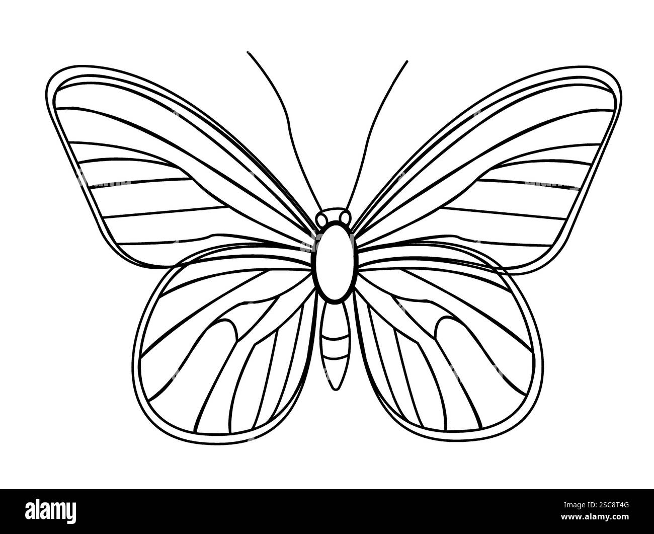 Zarte Schmetterlingsvektor-Illustration für Frühling und Sommer Designs Stock Vektor