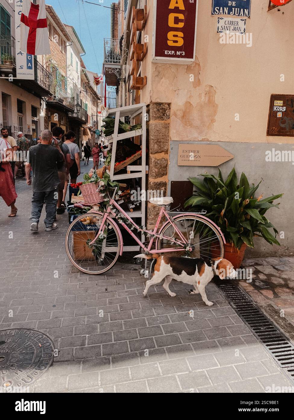 Soller Town, Mallorca, Spanien | belebte Straßen von Soller | Erkunden von Hunden | Marktstände | Sóller ist eine Stadt und Gemeinde in der Nähe der Westküste - Smartphone-aufgenommenes Stockfoto