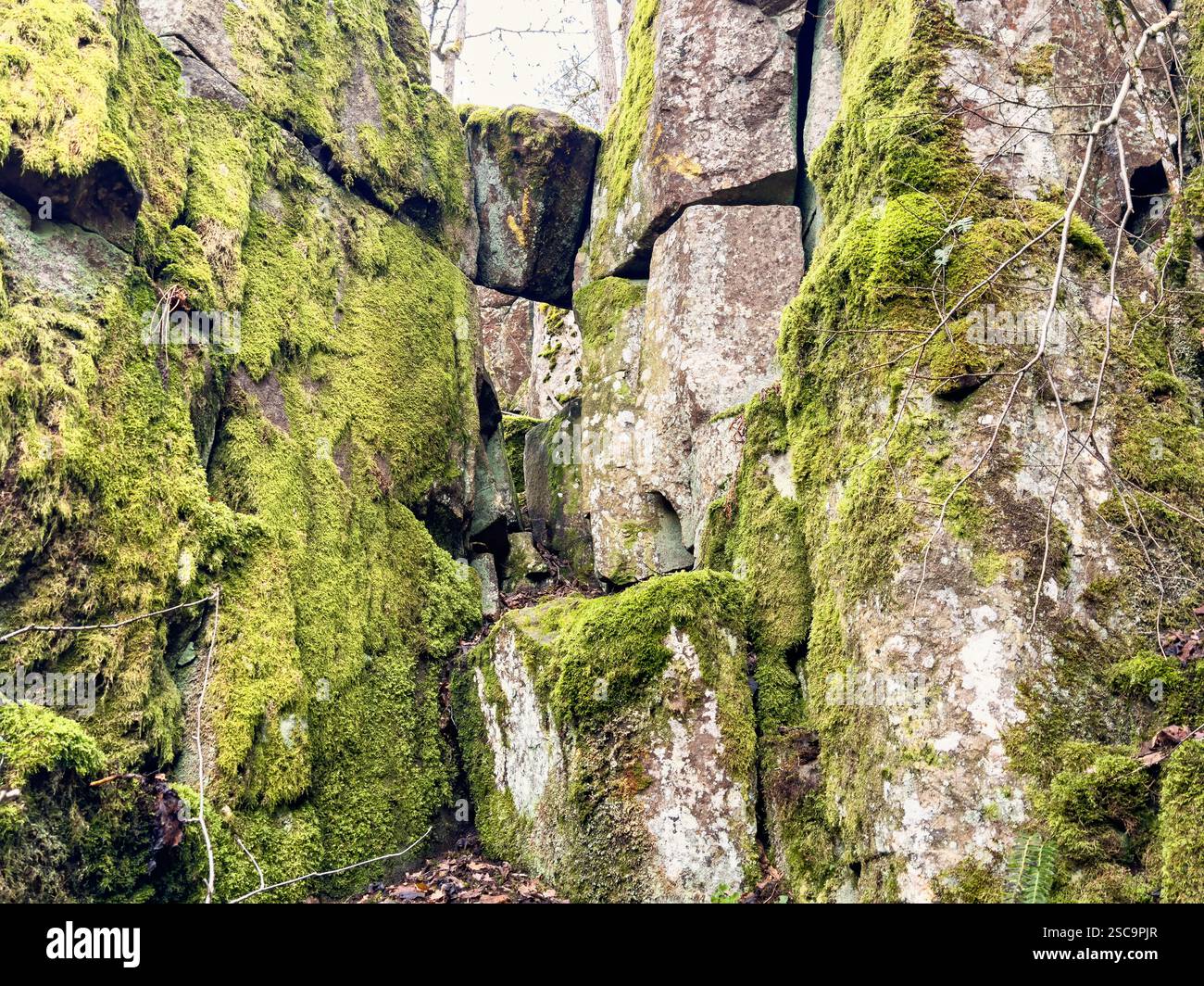 Felswände mit grünem Moos auf einem Berg Stockfoto