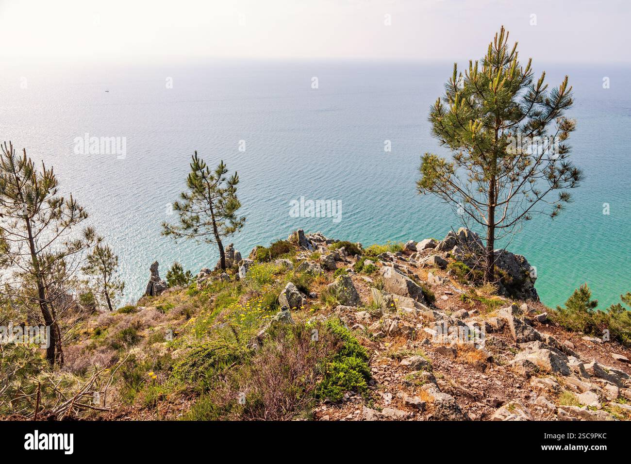 Blick auf das Meer mit Kiefern auf einer Klippe am Meer Stockfoto