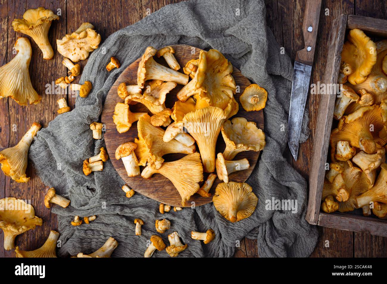 Frische Pfifferlinge auf einem hölzernen Schneidebrett. Lebensmittelfotografie Stockfoto