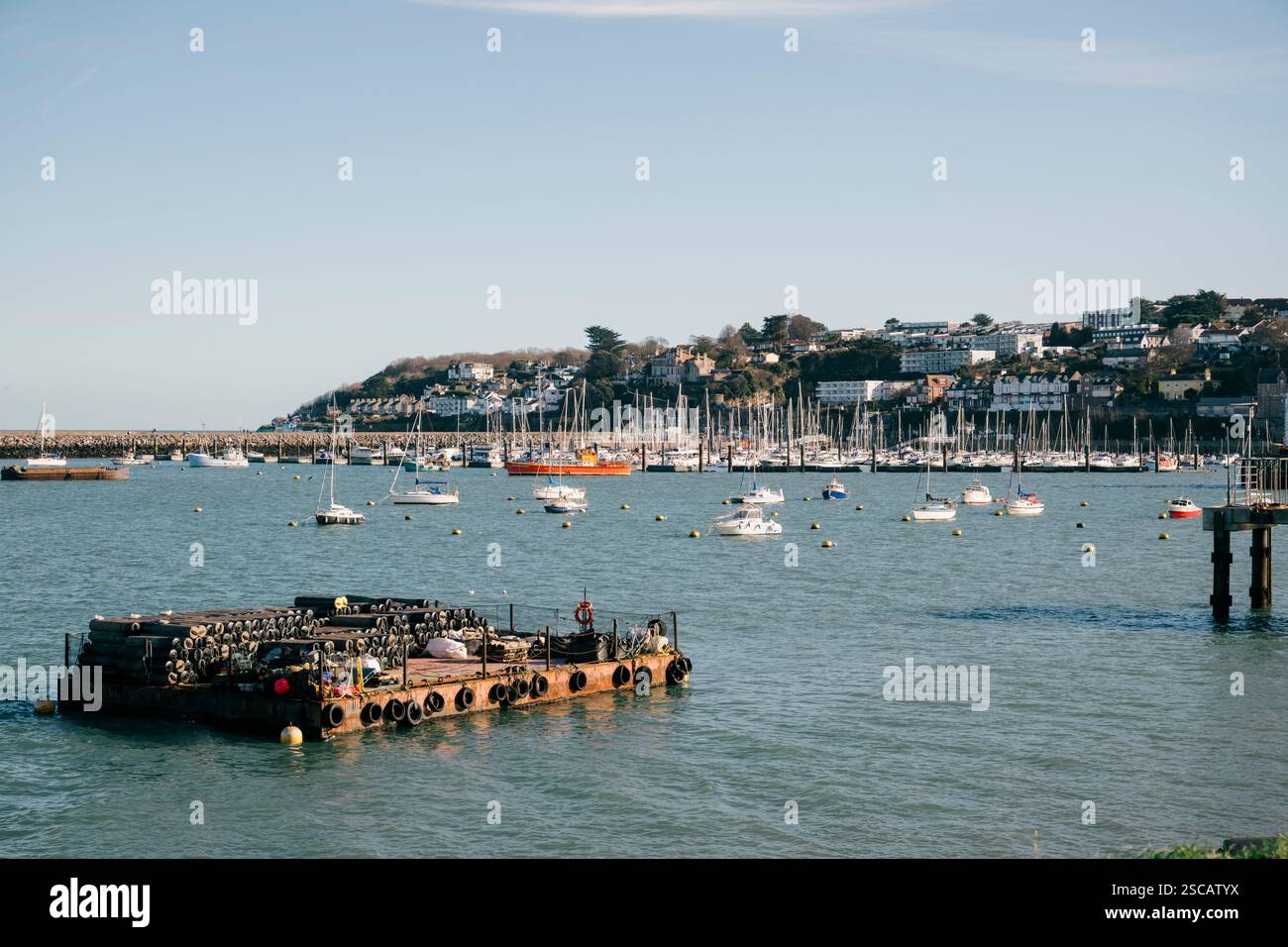 Blick auf den Hafen von Brixham mit Booten, die in der Bucht liegen, English Riviera, Devon, Großbritannien Stockfoto