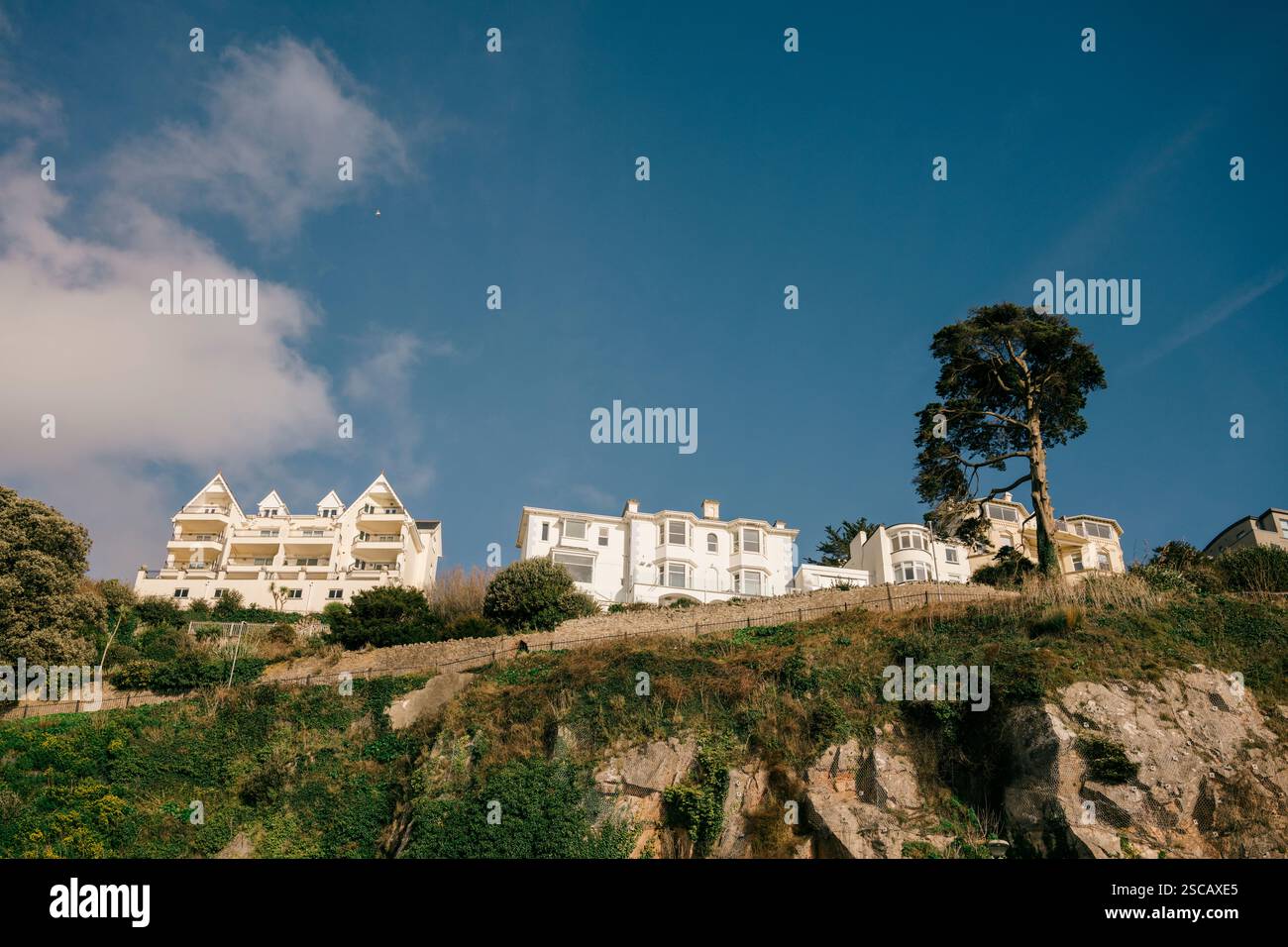 Blick auf Torquay, Deon UK mit großen Häusern auf den Klippen Stockfoto