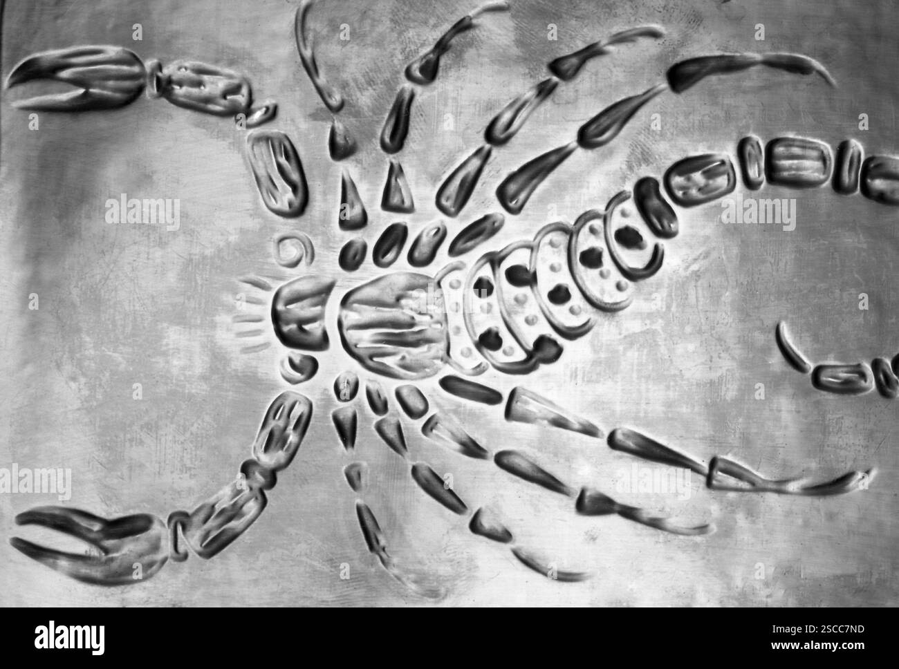 Skorpion in Kupfer - Blatt (Hertel/Ruppin) an der ILTUB (Institut für Flugzeugbau) in Berlin. Stockfoto