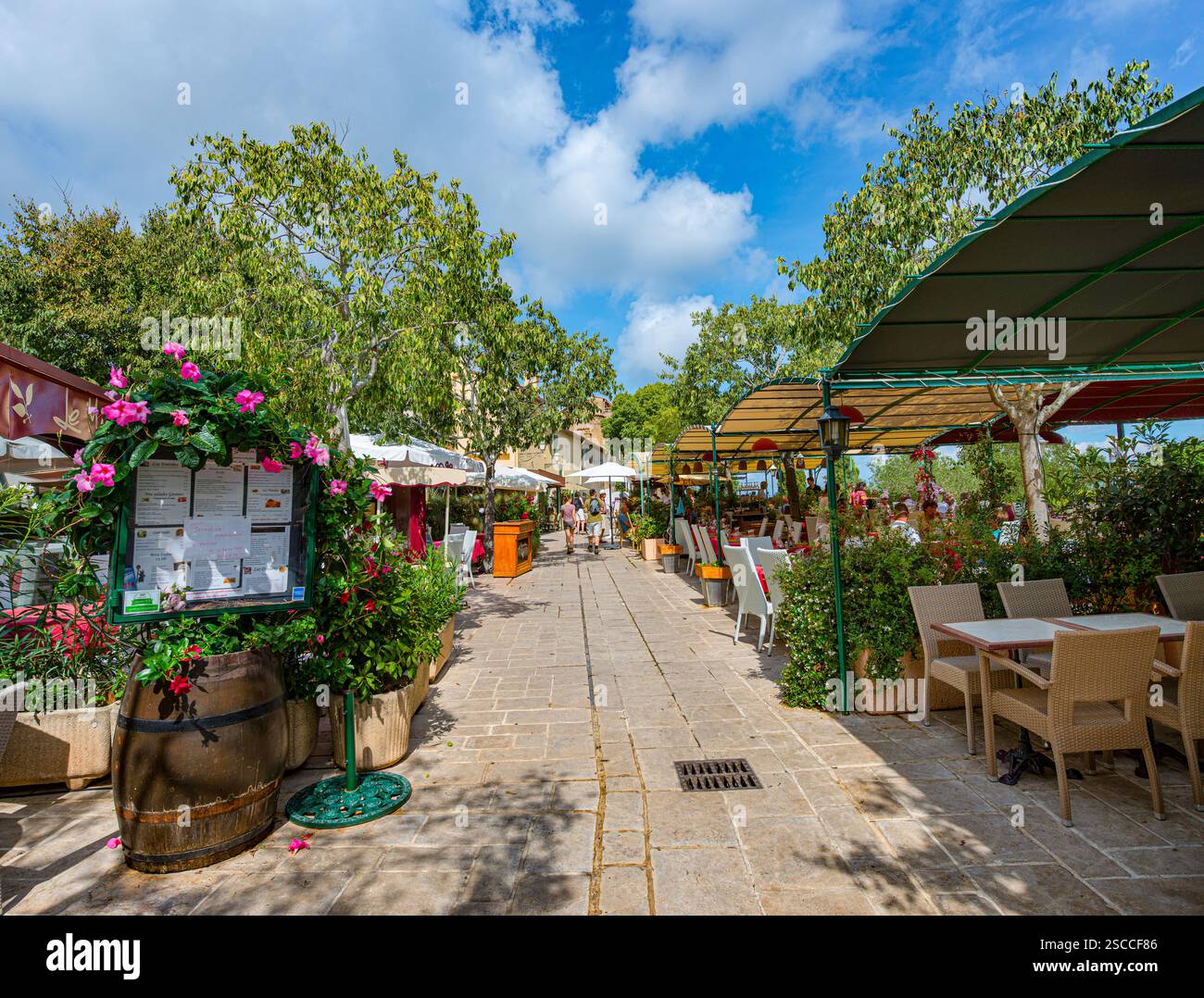 Alte Häuser in einer engen Gasse im Bergdorf Gassin. Frankreich Departement Var, Côte d‘Azur Stockfoto