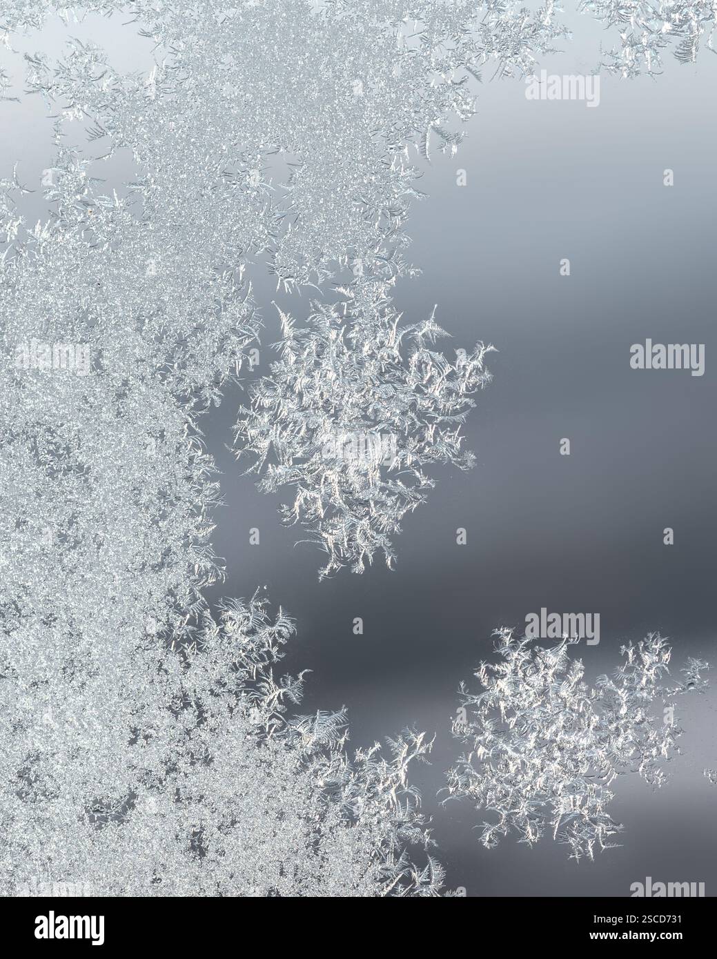 Frostmuster an einem Winterfenster Stockfoto