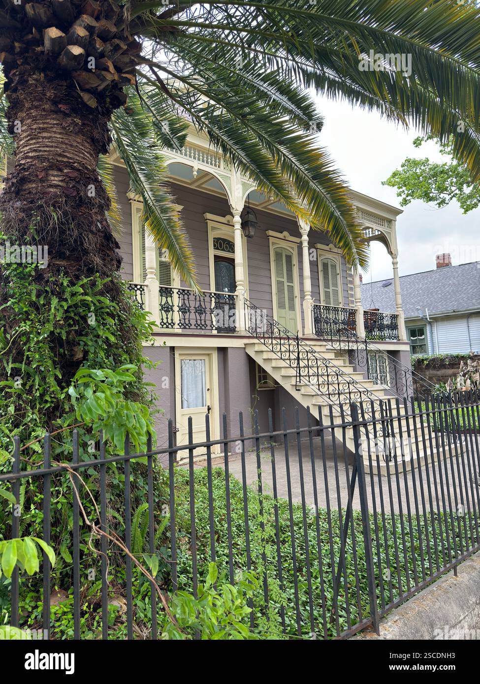 Ein bezauberndes Haus in New Orleans mit traditioneller Architektur, aufwändiger Eisenarbeit und umgeben von lebendigem Grün. Stockfoto