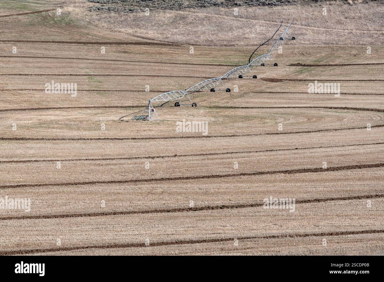 Pivot Bewässerung auf einer Farm im Wood River Valley von Idaho. Stockfoto
