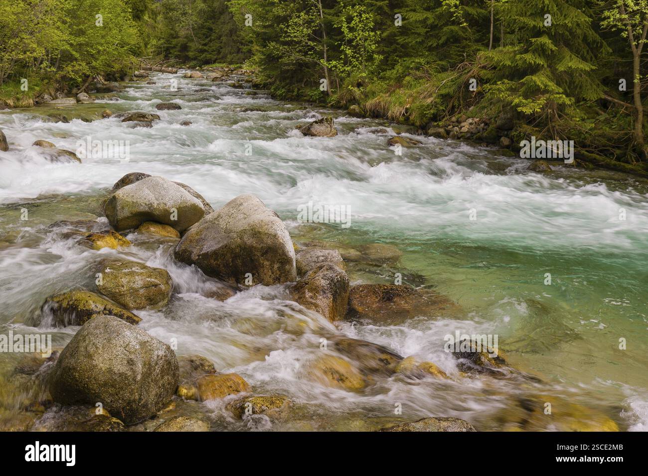 Schnell fließendes Wasser, Fluss Bela bei Prbylina, Slowakei, Europa Stockfoto