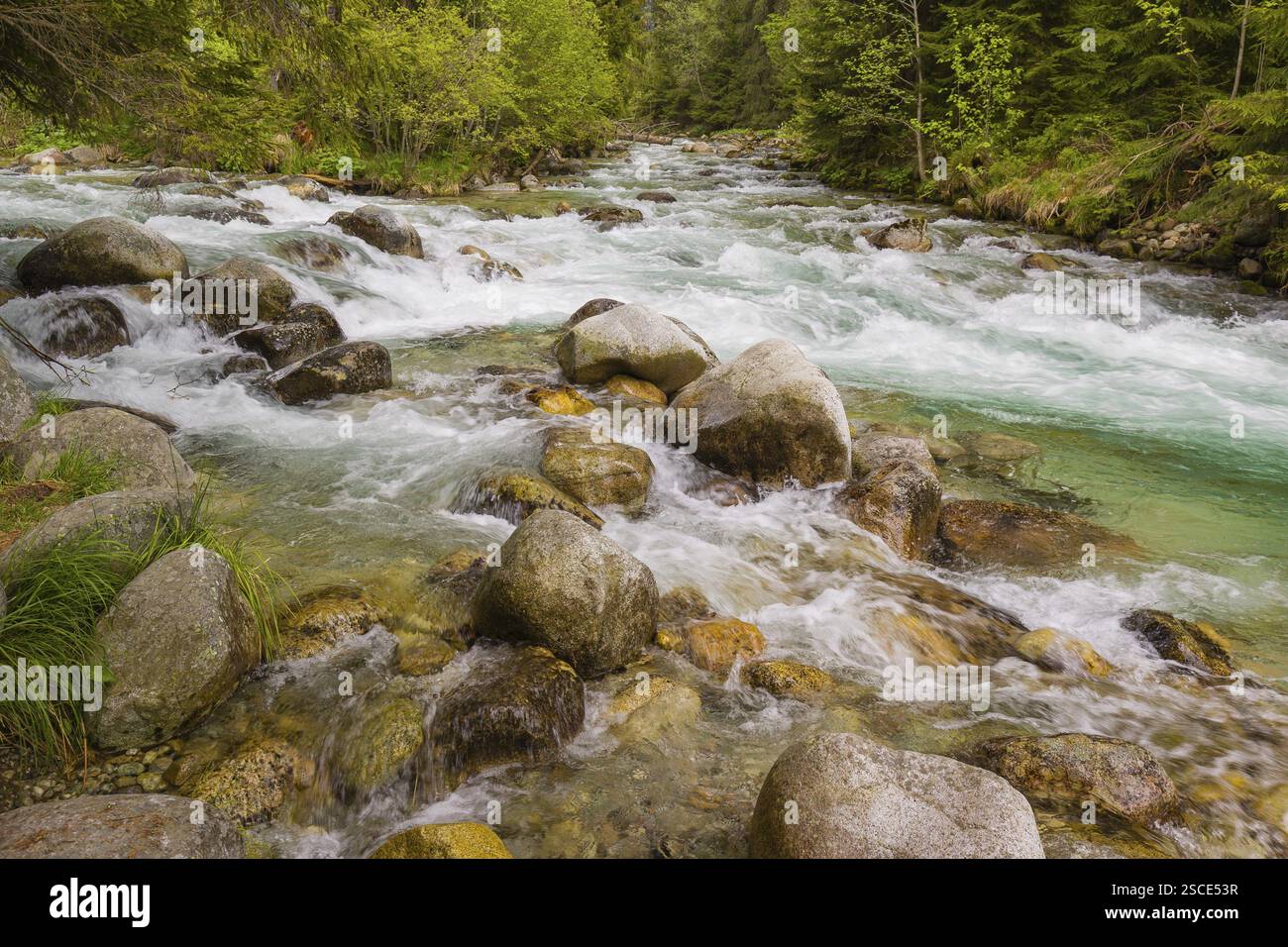 Schnell fließendes Wasser, Fluss Bela bei Prbylina, Slowakei, Europa Stockfoto