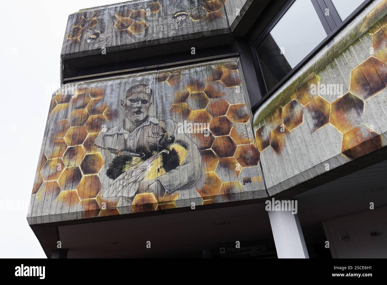 Der Tod der Königsbiene, Graffiti zum Thema Insektensterblichkeit von Straßenkünstlerin Julia Bethke, Seidenweberhaus, Brutalismusgebäude, Krefe Stockfoto