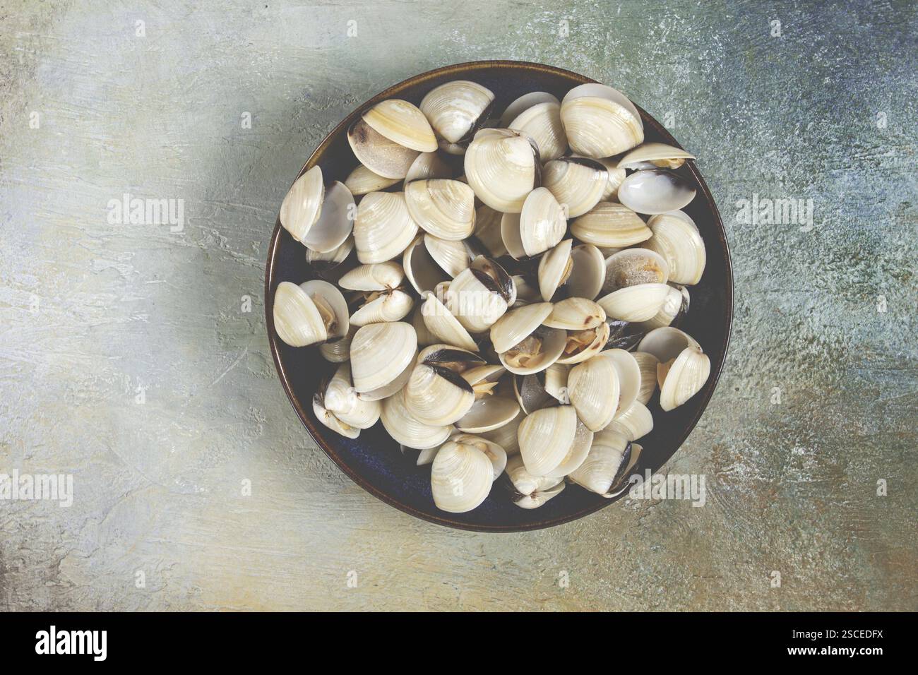 Frisch gefrorene Vongole-Muscheln, auf einem schwarzen Teller, Draufsicht, keine Leute Stockfoto