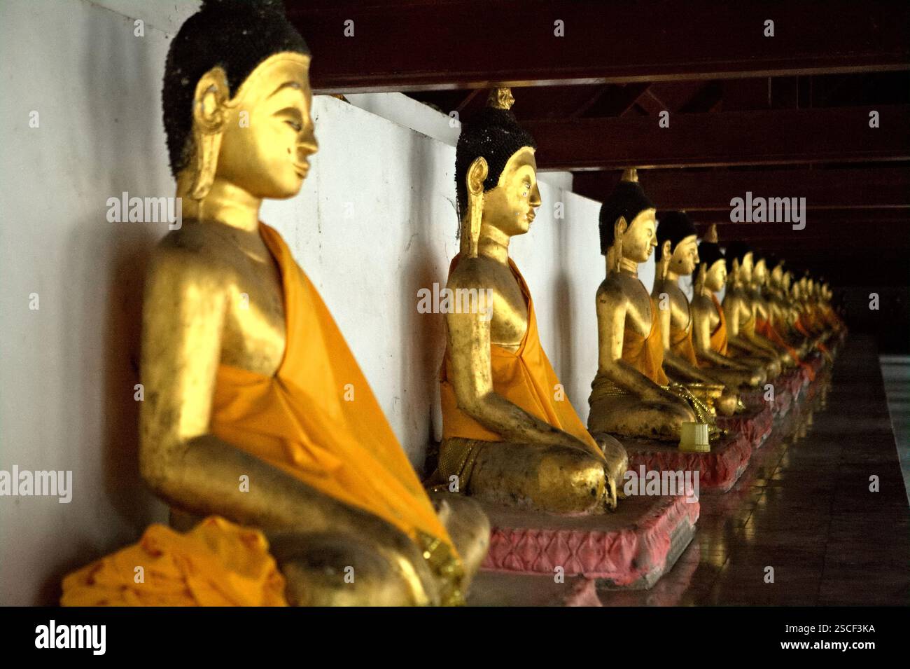 Goldene Buddha-Skulpturen in einer Gasse des Tempels Wat Phra Boromthat in Nakhon Si Thammarat, Thailand. Stockfoto