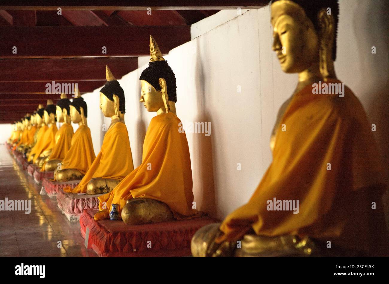 Goldene Buddha-Skulpturen in einer Gasse des Tempels Wat Phra Boromthat in Nakhon Si Thammarat, Thailand. Stockfoto
