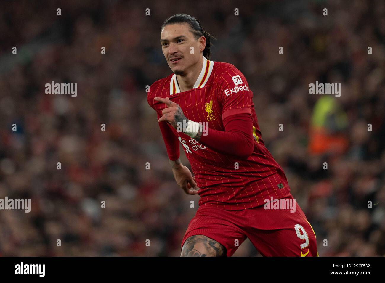 Darwin Nunez aus Liverpool wird am Donnerstag, den 6. Februar 2025, im Carabao Cup Halbfinale im zweiten Leg zwischen Liverpool und Tottenham Hotspur in Anfield, Liverpool, gespielt. (Foto: Steven Halliwell | MI News) Credit: MI News & Sport /Alamy Live News Stockfoto