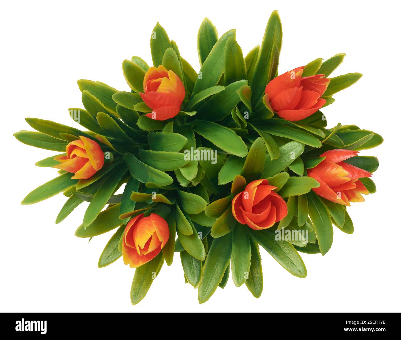 Künstliche Anordnung einer hellorangen, tulpenförmigen blühenden Pflanze mit langen grünen Blättern, isoliert von weißem Hintergrund, direkt von oben aufgenommen Stockfoto