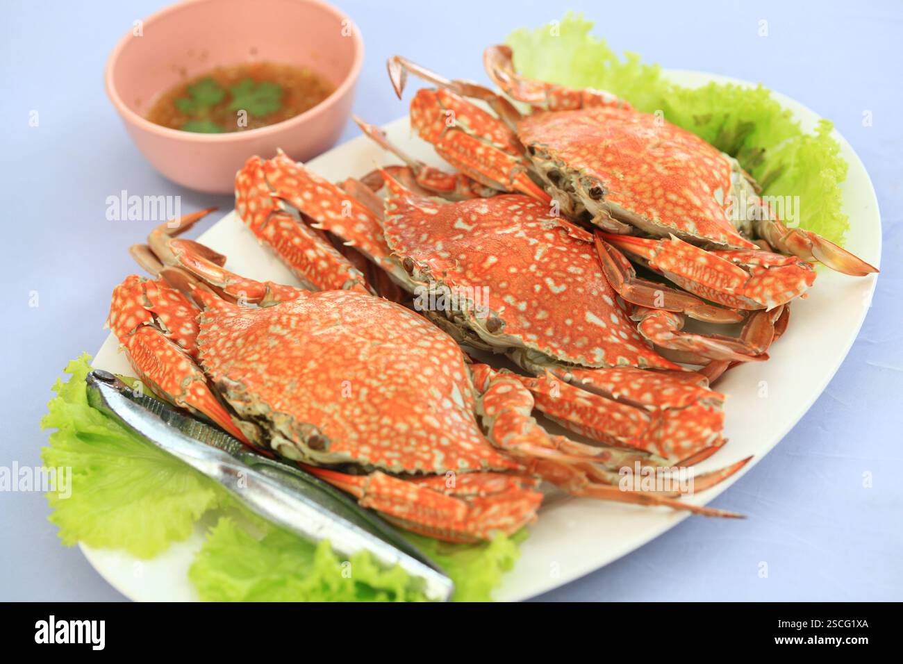 Gedämpfte blaue Krabben auf einem Teller serviert mit Meeresfrüchtedippich, thailändische Küche Stockfoto