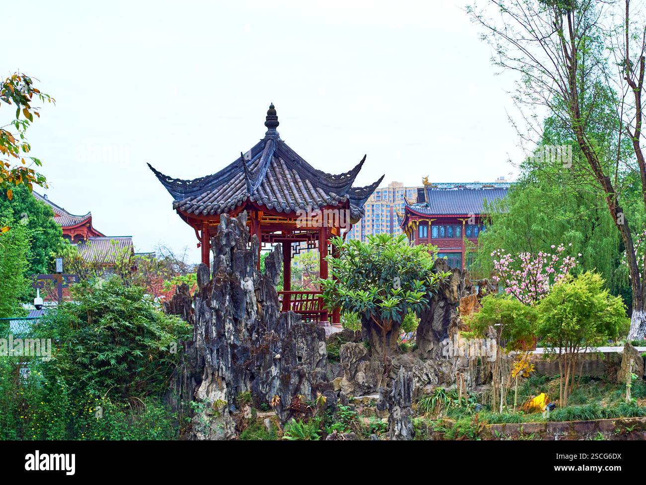 Ein Mammutbaumpavillon in einem chinesischen Garten, umgeben von Felsbrocken und grünen Pflanzen. Stockfoto
