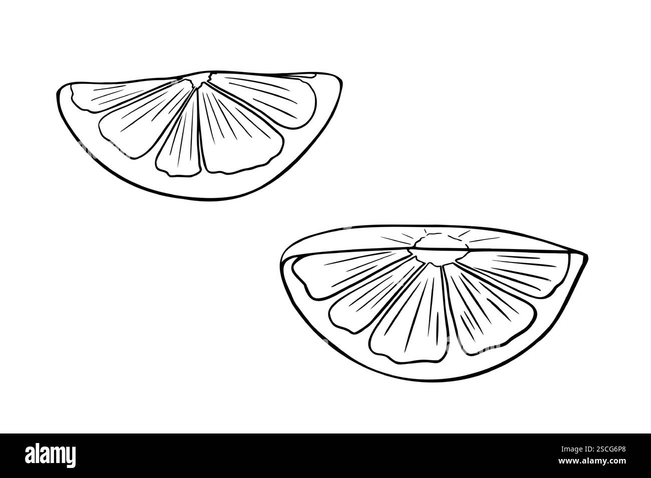 Zitronenhälften schwarz-weiße Vektor-Illustration. Zitrusfrüchte-Segmente einfarbig, einfache Zeichnung. Keil mit Zitronenmalerei gemalt. Orangenobst Stock Vektor