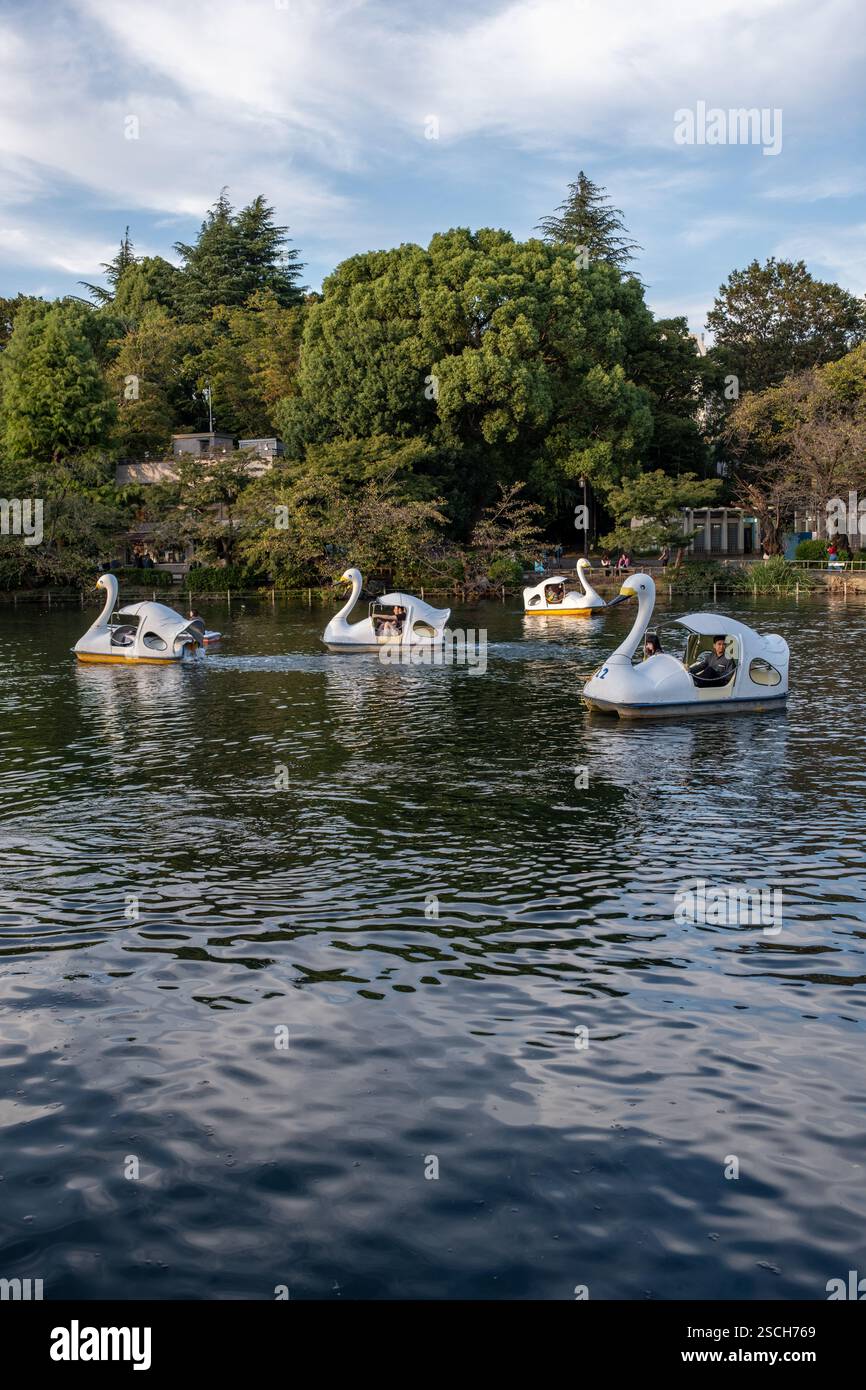 Bootstouren auf dem See im Inokashira Park and Gardens in Kichijoji in Tokio Japan Stockfoto