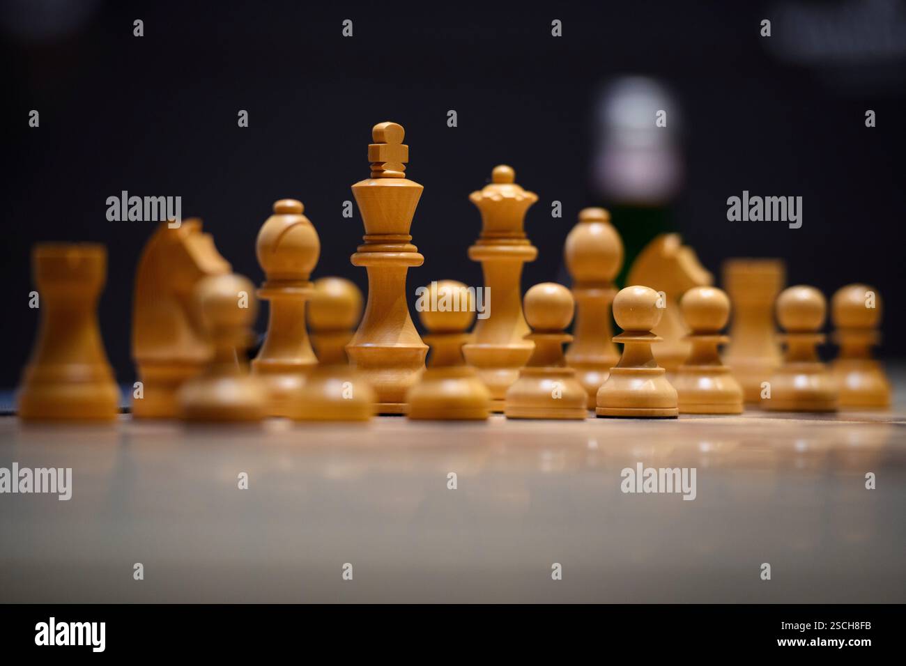 Wangels, Deutschland. Februar 2025. Weiße Schachfiguren werden vor dem Start des Freestyle Chess Grand Slam im Weissenhaus Private Nature Luxury Resort auf einem Schachbrett platziert. Quelle: Gregor Fischer/dpa/Alamy Live News Stockfoto