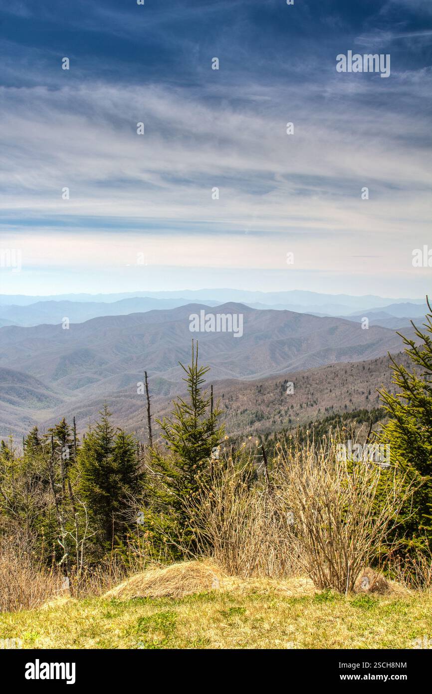 panoramablick auf die Berge. Überlagerte Gipfel, Bäume und Gras. Die Schönheit der Natur. Stockfoto
