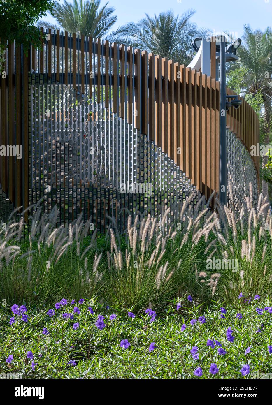 Clevere Verwendung von Holzstreifen zur Erstellung von Bildschirmen im Dubai Expo Centre (Dubai Expo 2020), zusammen mit Blockpflanzen von weichen Gräsern und mexikanischen Petunien. Stockfoto