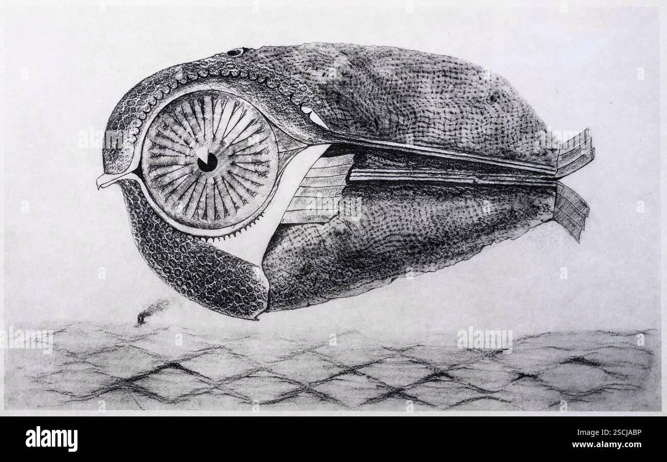 MAX ERNST, (1891-1976) Titel: L'Evade, der Flüchtige, Illustration 30 aus der Reihe Naturgeschichte, Fotogravur, 1926 Stockfoto