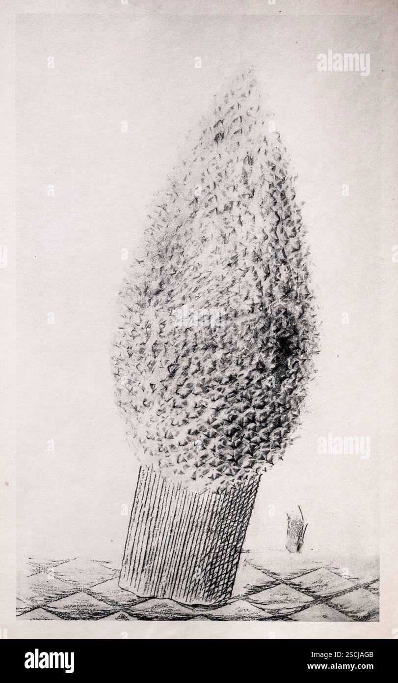 MAX ERNST, (1891-1976) Titel: Le Fascinant cypres, das faszinierende Zypern, Illustration 9 aus der Serie Naturgeschichte. Fotogravur, 1926 Stockfoto