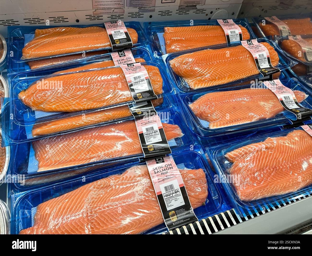 Haut auf Lachsfilets in einem Kühlkoffer in einem Sam's Club Store. Merrillville, USA, 6. Februar 2025 - Smartphone-aufgenommenes Stockfoto