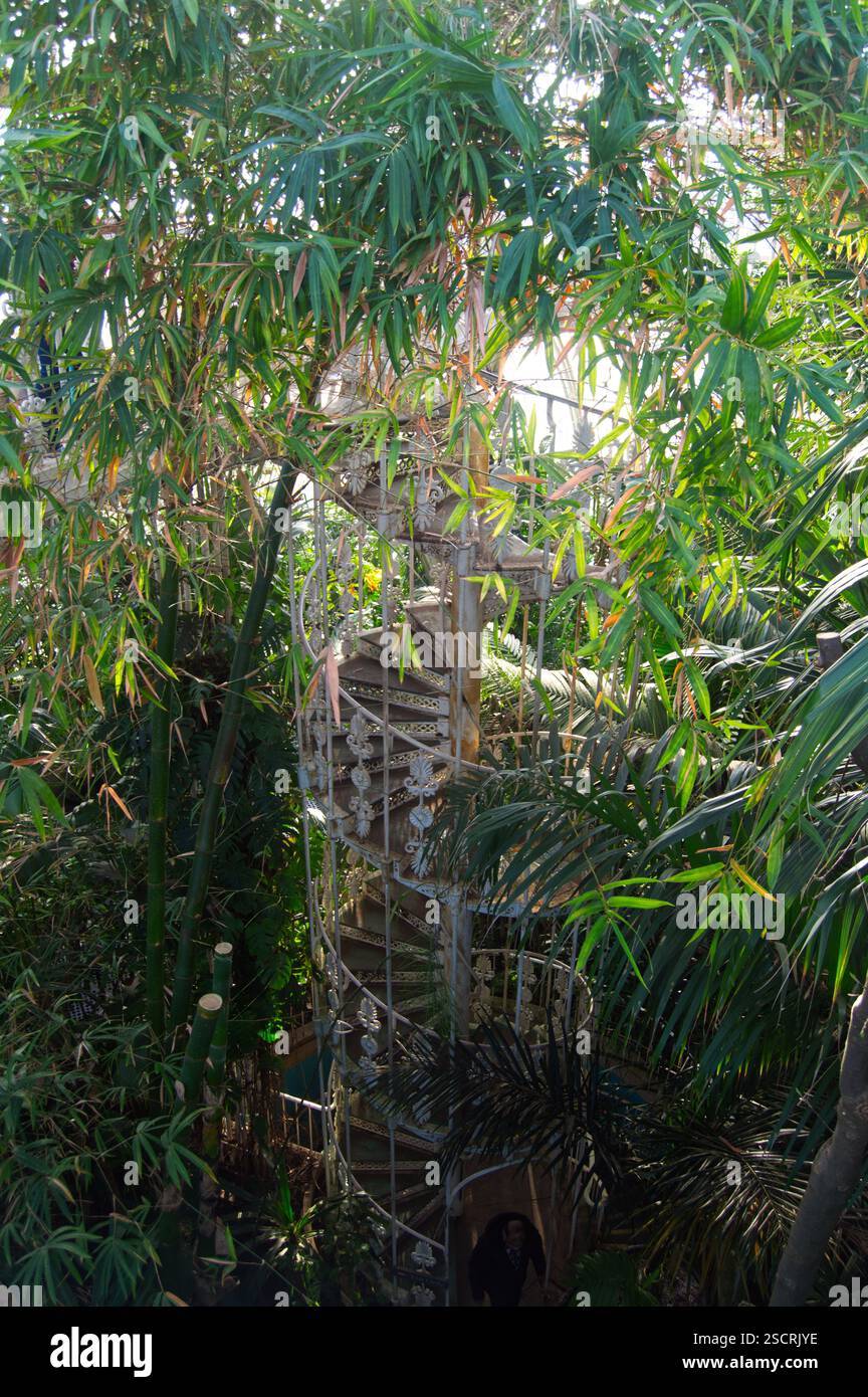 Innenraum des Palm House in Kew Garens, London, England Stockfoto
