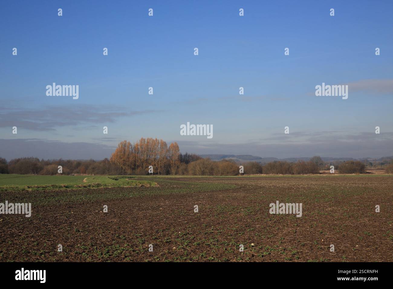 Blick über Felder im Winter in der Nähe von Oxenturn Road, Wye, Ashford, Kent, England Stockfoto